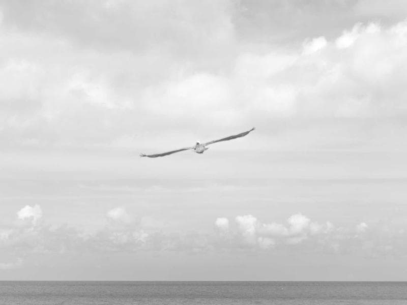 Desain Eksterior Perumahan Cluster — Desain Eksterior di Kubu Raya