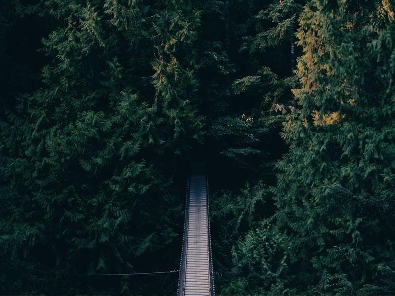 Desain Eksterior Perumahan Cluster — Desain Eksterior di Kubu Raya